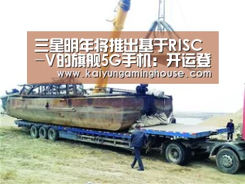 三星明年将推出基于RISC-V的旗舰5G手机:开运登录(图2) 开运娱乐