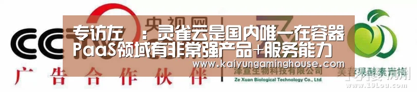专访左玥:灵雀云是国内唯一在容器PaaS领域有非常强产品+服务能力的厂商【开运赛事】(图2) 开运平台
